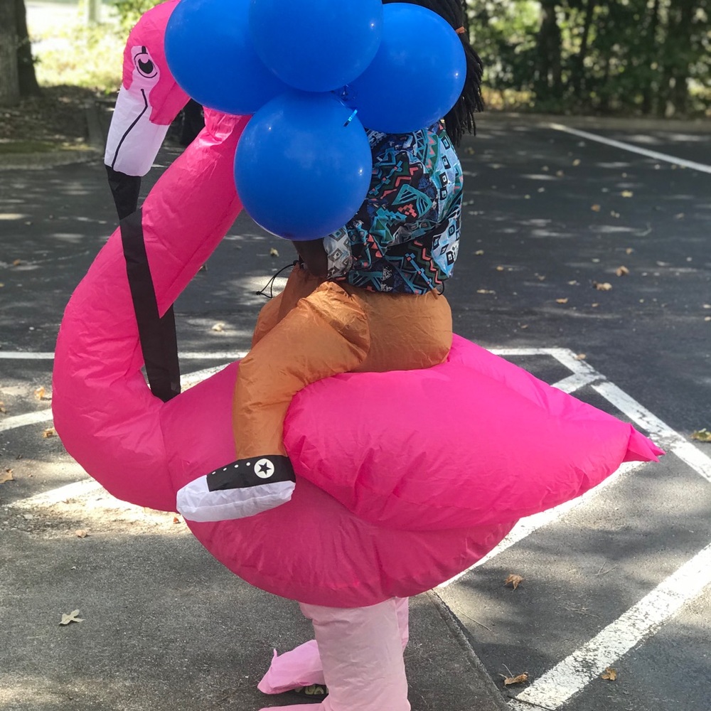 Flamingo Rider Inflatable Halloween Outfit Costume